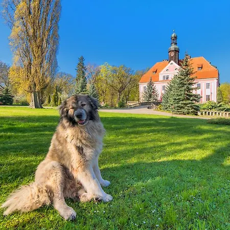 Bed & Breakfast Boutique Palac Warmatowice Sienkiewiczowskie 3*