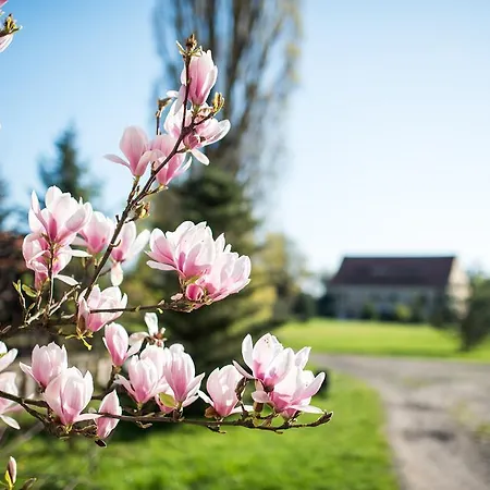 Bed & Breakfast Palac