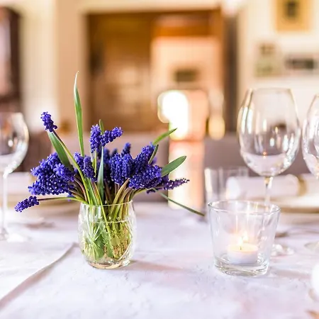 Bed & Breakfast Palac *