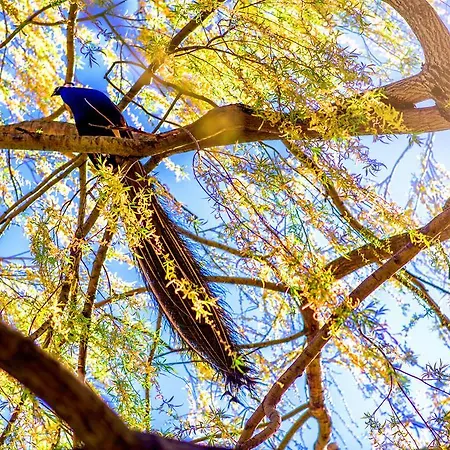 Bed & Breakfast Palac