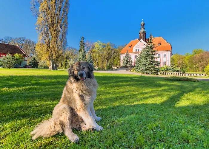 Bed & Breakfast Boutique Palac Warmatowice Sienkiewiczowskie 3*