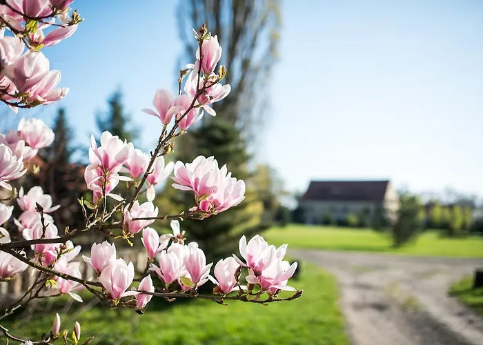 Couette-café Boutique Palac Warmatowice Sienkiewiczowskie
