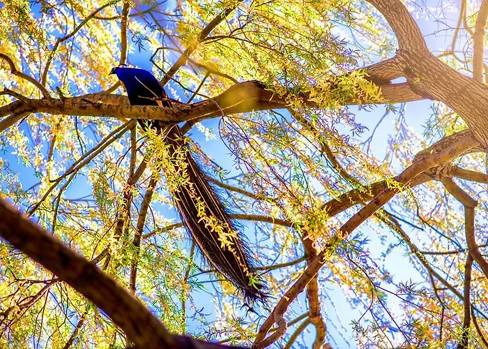 Couette-café Boutique Palac Warmatowice Sienkiewiczowskie